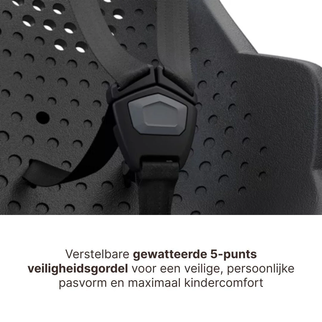 Thule Yepp 2 Maxi Fietsstoel Achterop Bagagedrager Montage I Fennel Tan - Image 10