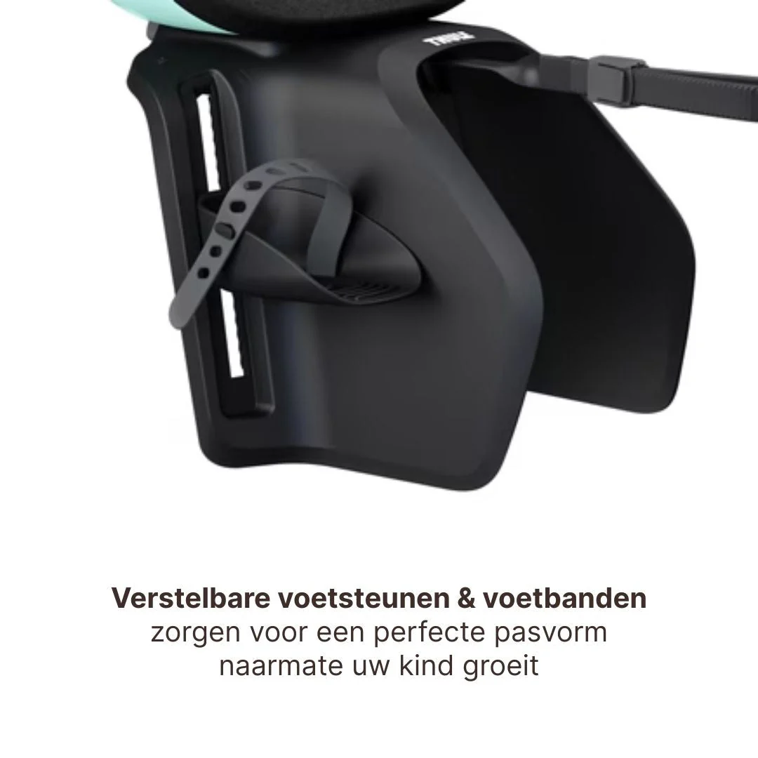 Thule Yepp Nexxt 2 Maxi Fietszitje Fietsstoel Achterop Bagagedrager Montage I Mint Green - Image 7