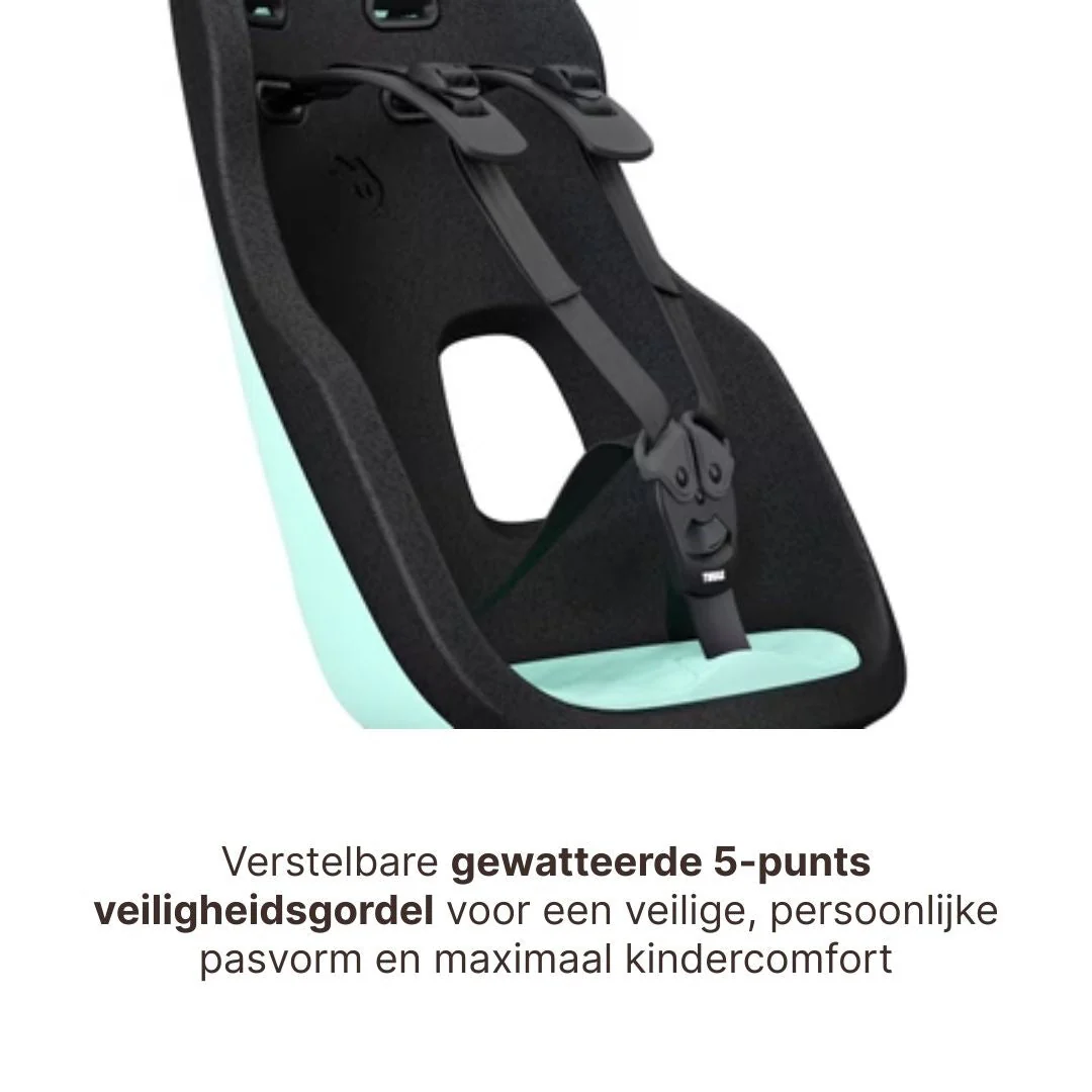 Thule Yepp Nexxt 2 Maxi Fietszitje Fietsstoel Achterop Bagagedrager Montage I Mint Green - Image 8