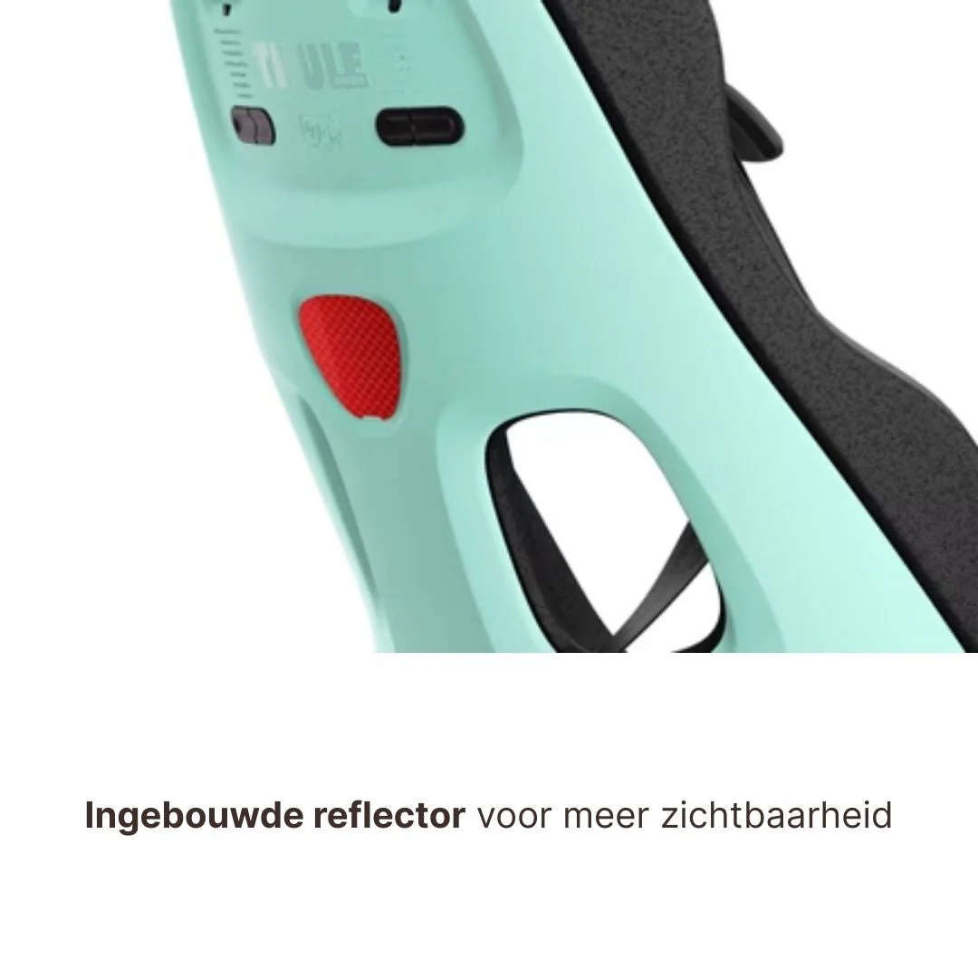 Thule Yepp Nexxt 2 Maxi Fietszitje Fietsstoel Achterop Bagagedrager Montage I Mint Green - Image 9